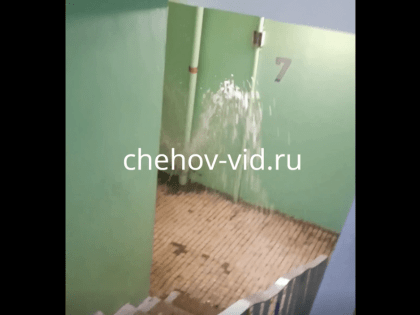 В одном из подъездов подмосковного Чехова забил фонтан