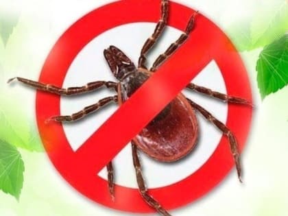 Воскресенский территориальный отдел Управления Роспотребнадзора по Московской области информирует