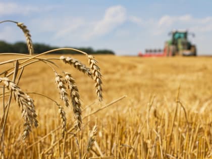 Запуск пилотного проекта по оказанию содействия товаропроизводителям