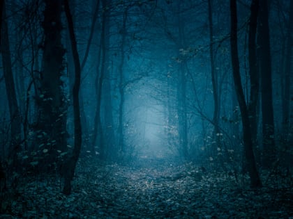 Новые изменения в правилах дорожного движения в Санкт-Петербурге