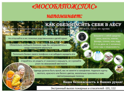 Спасатели напомнили жителям Люберец правила посещения лесов