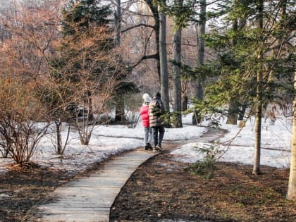 Температура до +13 градусов ждет москвичей в начале недели