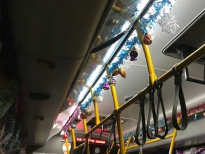 Около 50 бесплатных автобусов работали в Рождественскую ночь в городском округе Люберцы