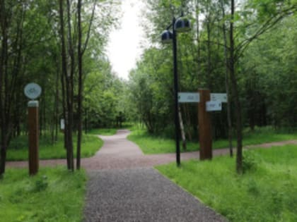 В Лобненском лесопарке сделали навигацию