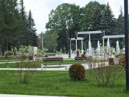 На фонтане зазеленел рулонный газон