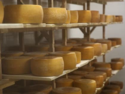 Ферма «Эко молоко» из Талдома победила в проекте «Семейные компании России»