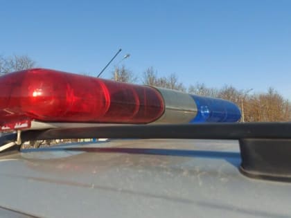 В июне на дорогах подмосковной Каширы проведут рейды «Детское кресло» и «Нетрезвый водитель»