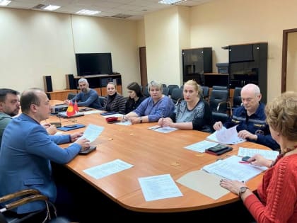 На заседании Комиссии по экономическому, территориальному развитию, городской среде и инфраструктуре, открытости власти и противодействию коррупции обсудили план работы на год