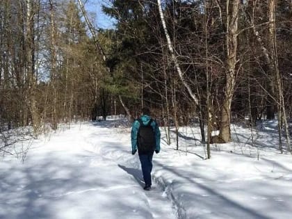 В Подольске на торгах зафиксировали рекордную стоимость участка для ведения ЛПХ