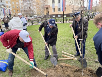 Владимир Ружицкий поблагодарил жителей Люберец за участие в акции «Лес Победы»