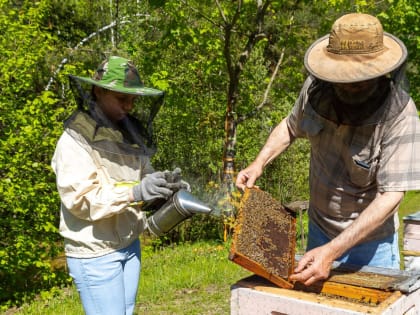 Житель Орехово-Зуевского округа Андрей Беляев продолжил семейное дело пчеловодов