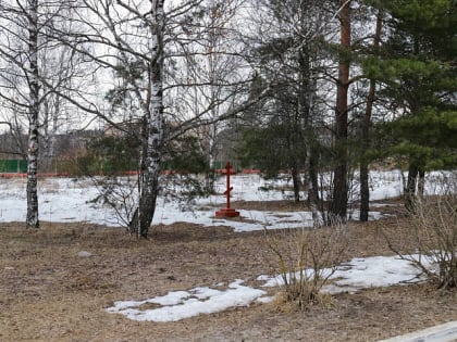 В Орехово-Зуеве построят храм для рожениц