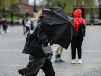 Москвичей предупредили о грозе и сильном ветре до вечера воскресенья