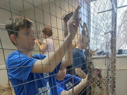 На благо Родины!