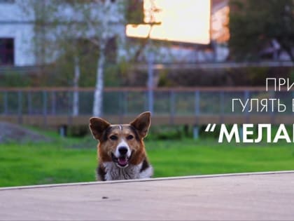 В парке «Меланж» в городе Куровское гуляет много жителей