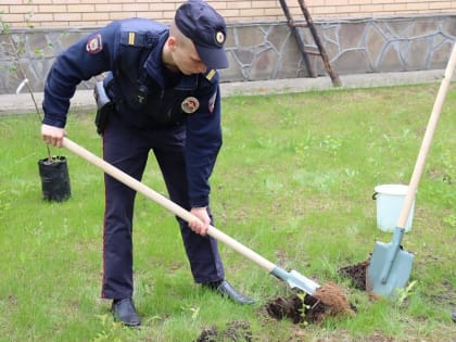 Полицейские в Воскресенске совместно с членом Общественного совета приняли участие в акции «Сад памяти»