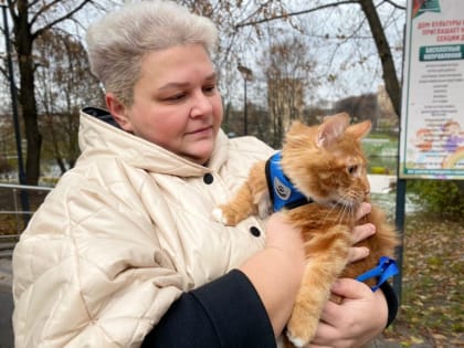 Вакцинация домашних животных пройдет в поселении Воскресенское в ноябре