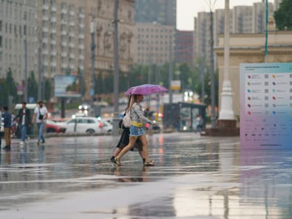 Дождь и до 25 градусов тепла ожидается в Московском регионе 9 августа