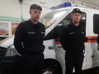 Работники Мособлпожспас спасли в Кашире собаку, застрявшую между гаражами