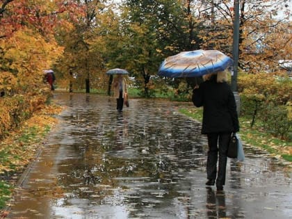 Проливные дожди вот-вот обрушатся на Подмосковье и Москву