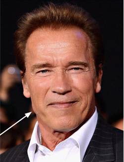 strong manly jaw: arnold schwarzenegger