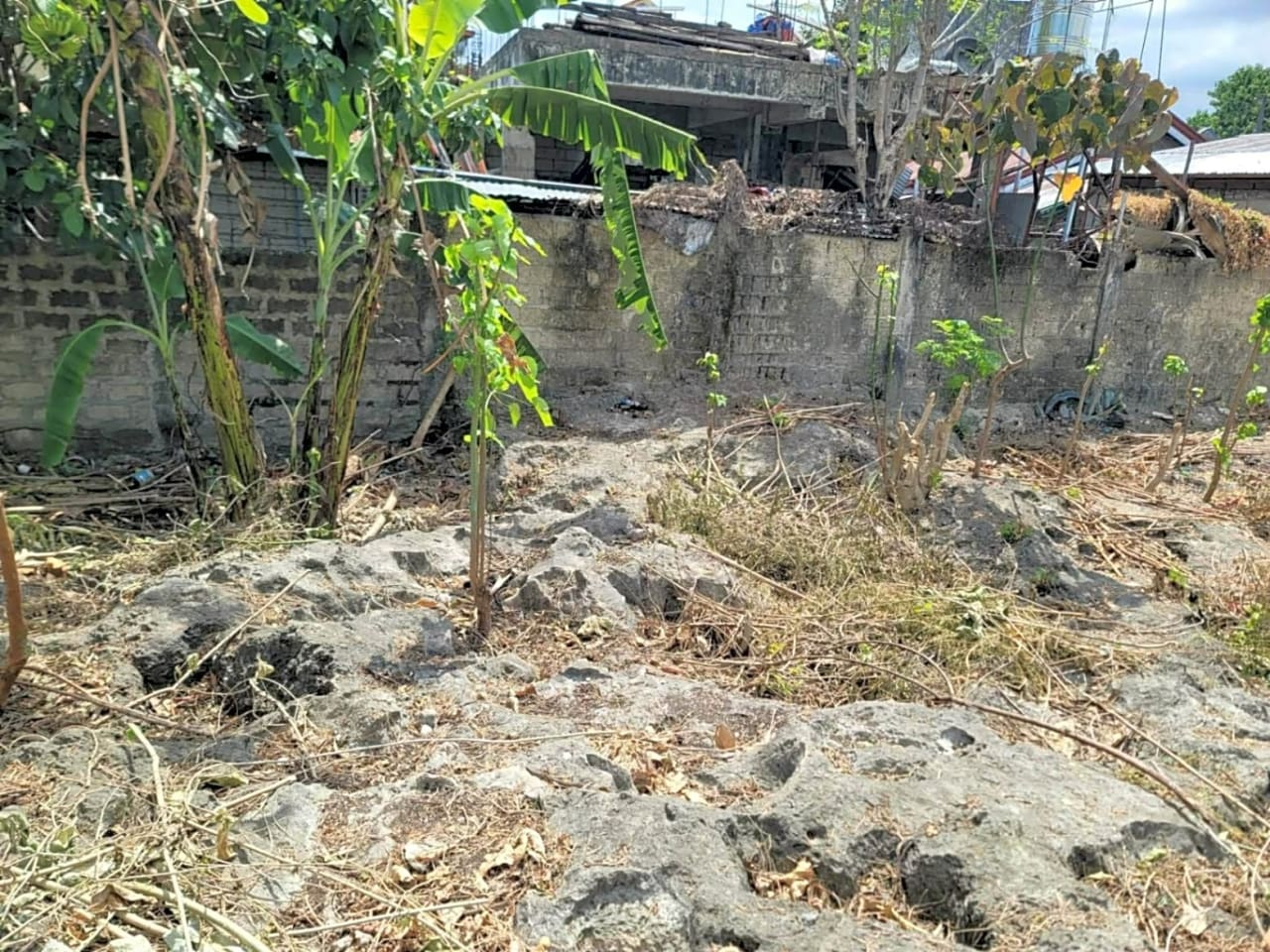 Rush Sale Lot for Sale in Cordova, Cebu | Titled Property