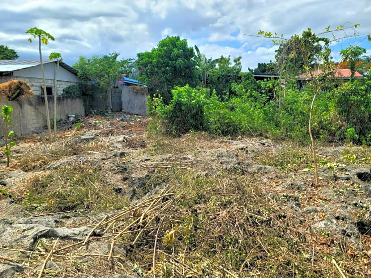 Rush Sale Lot for Sale in Cordova, Cebu | Titled Property