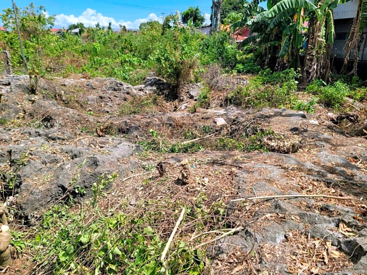 Rush Sale Lot for Sale in Cordova, Cebu | Titled Property