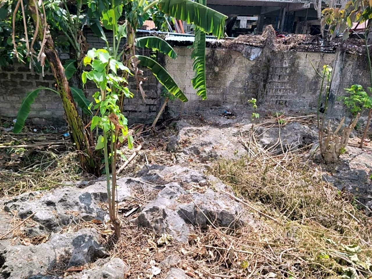 Rush Sale Lot for Sale in Cordova, Cebu | Titled Property