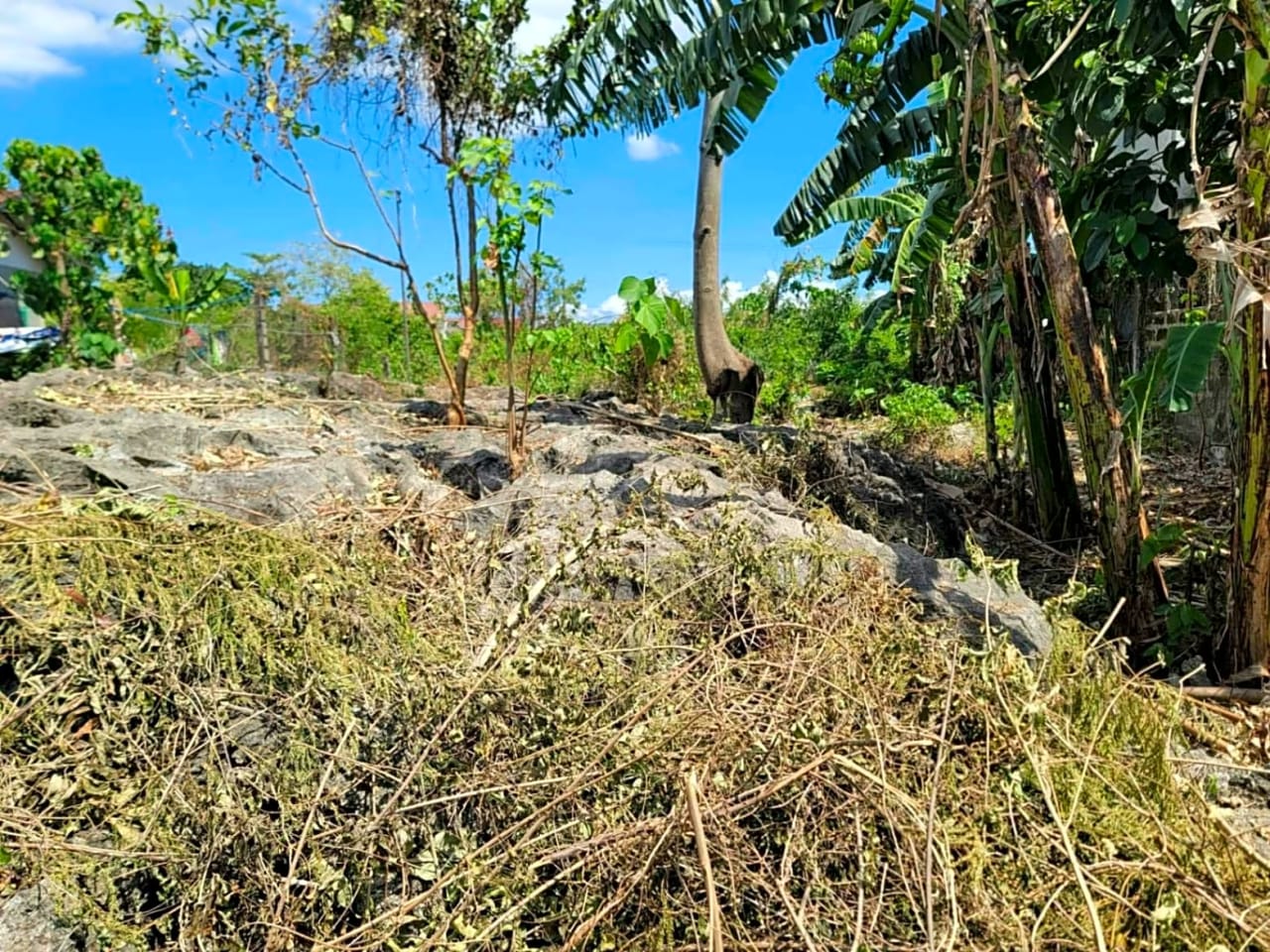 Rush Sale Lot for Sale in Cordova, Cebu | Titled Property