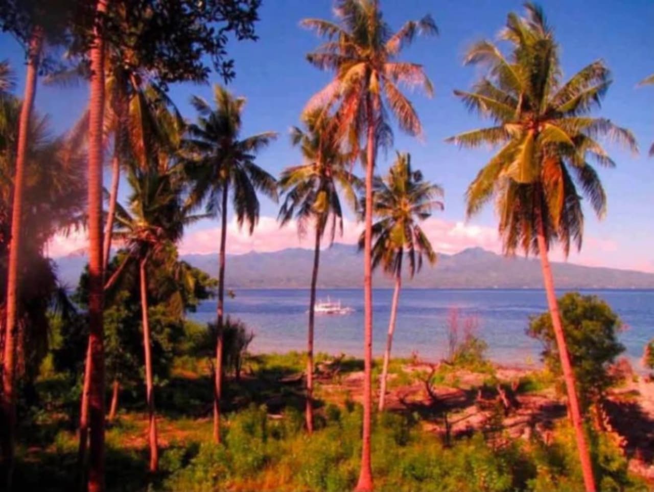 Beach lot for sale in Santander, Cebu, showing the property's natural landscape and proximity to the sea