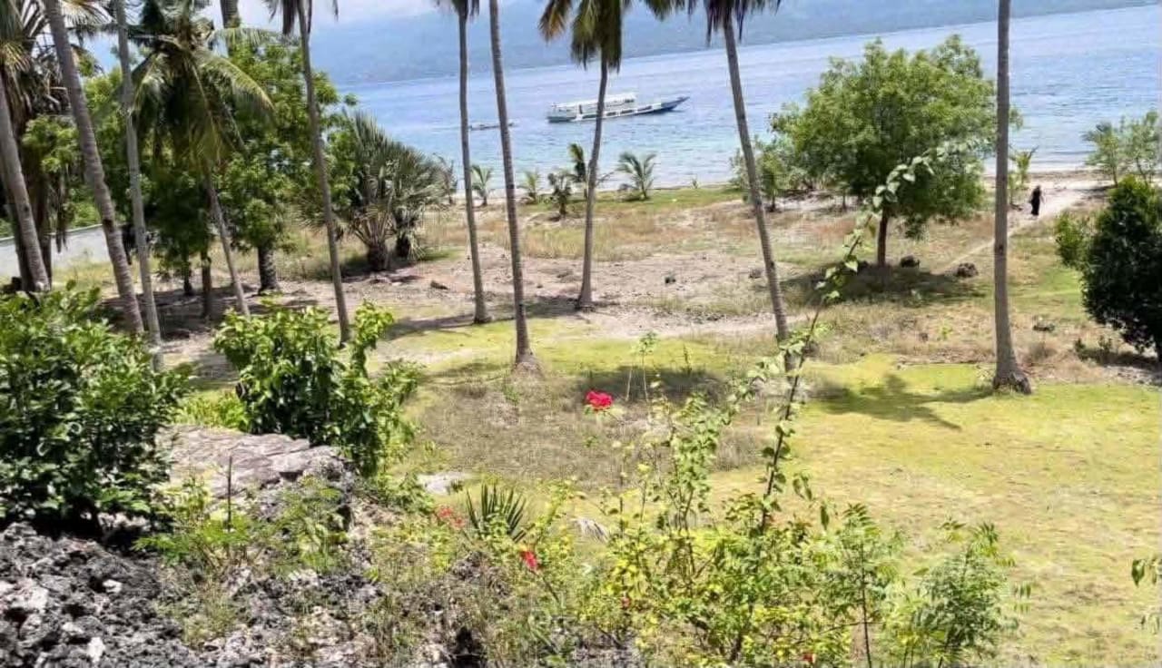 Beachfront property in Santander, Cebu, with existing trees and open land for a potential private seaside retreat