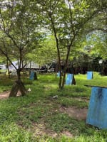 Prime Investment Lot for Sale in Yati, Liloan