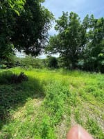 Prime Investment Lot for Sale in Yati, Liloan