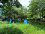 Prime Investment Lot for Sale in Yati, Liloan