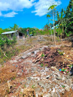 Rush Sale Lot for Sale in Cordova, Cebu | Titled Property