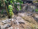 Rush Sale Lot for Sale in Cordova, Cebu | Titled Property