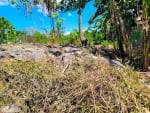 Rush Sale Lot for Sale in Cordova, Cebu | Titled Property