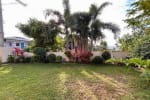 Garden view with trees in House & Lot for Sale in Liloan, Cebu