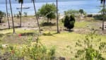 Beachfront lot in Santander, Cebu, featuring coastal vegetation and natural surroundings along the shoreline