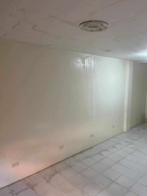 Rush Sale Fixer-Upper House & Lot in Banawa, Cebu City
