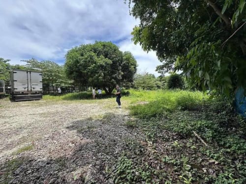 Prime Investment Lot for Sale in Yati, Liloan