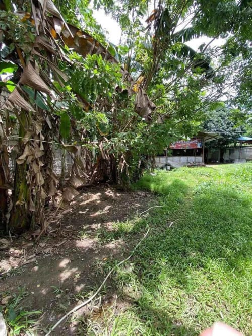 Prime Investment Lot for Sale in Yati, Liloan