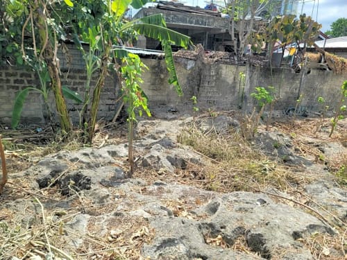 Rush Sale Lot for Sale in Cordova, Cebu | Titled Property