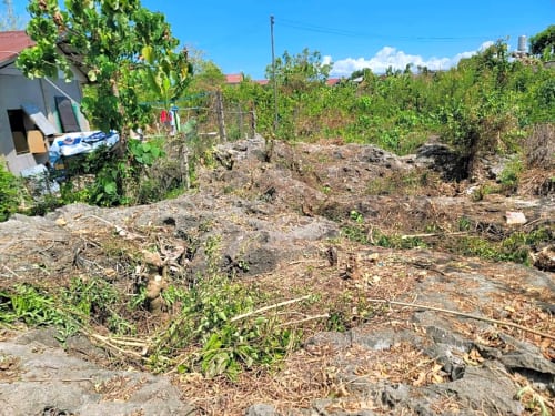 Rush Sale Lot for Sale in Cordova, Cebu | Titled Property