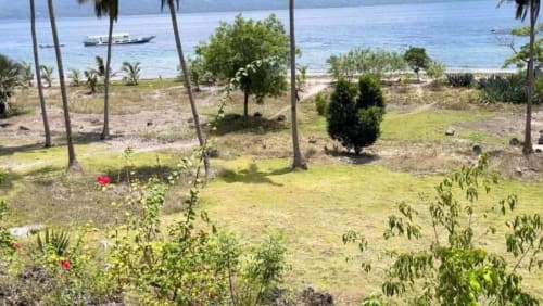 Beachfront lot in Santander, Cebu, featuring coastal vegetation and natural surroundings along the shoreline