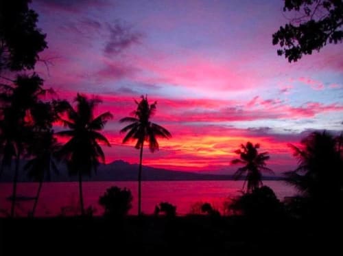 View of the 7,251 sqm seafront property in Santander, Cebu, with land extending toward the coastline