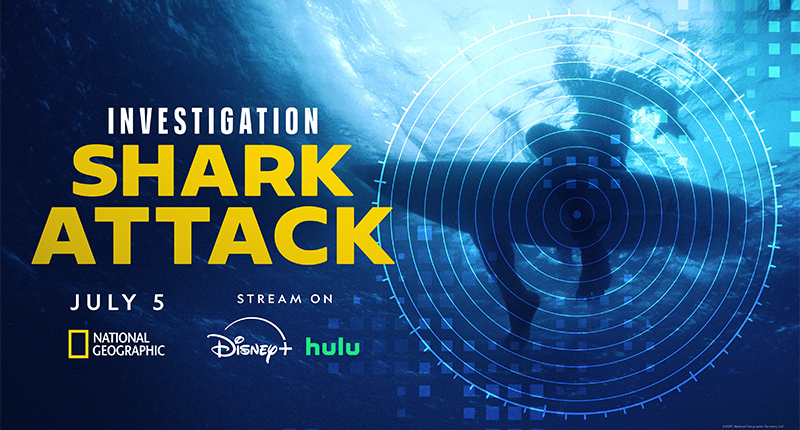 Shark Investigation