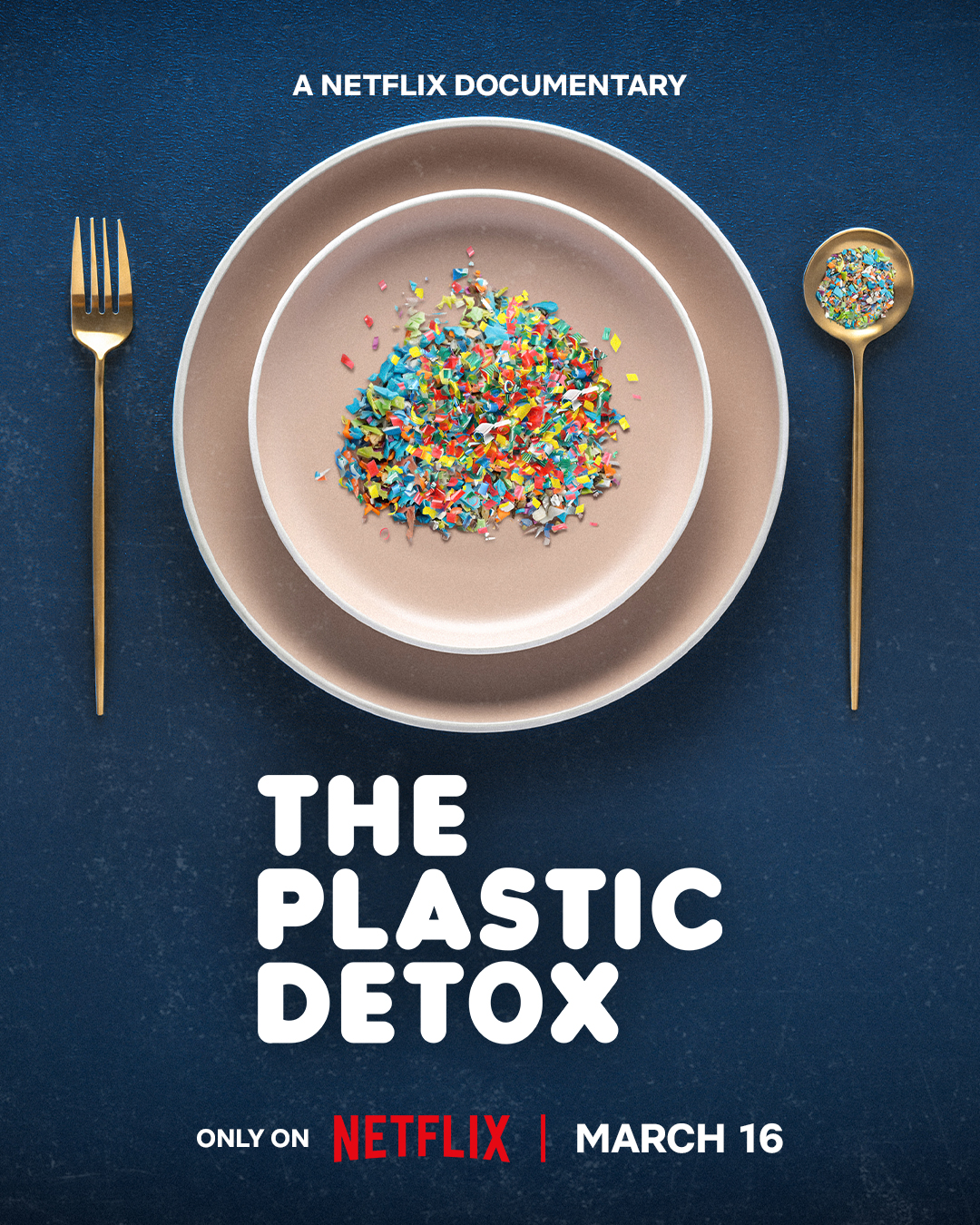 The Plastic Detox Interview Opportunity