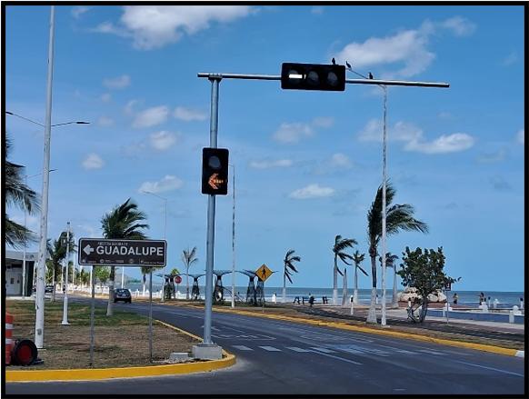 Tracevia concluiu a implantação do Sistema de Iluminação de Trânsito do Sistema de Metrô Leve DRT Campeche (janeiro-agosto de 2025)